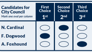 Ranked Choice Voting