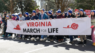 VA Abortion Amendment